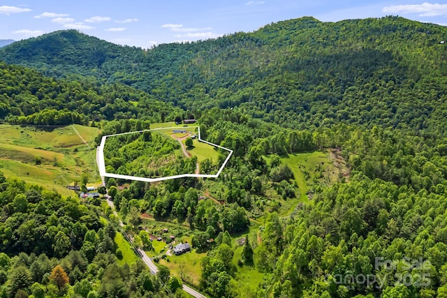 410 Fork Mountain Rd, Bakersville, NC 28705 - aerial view of property and surrounding area featuring a heavily wooded area, property parcel outlined, and mountains