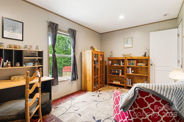 410 Fork Mountain Rd, Bakersville, NC 28705 - bedroom with ornamental molding and a desk