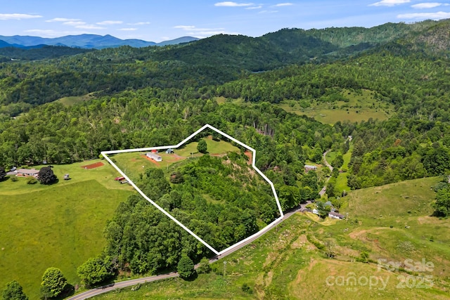 410 Fork Mountain Rd, Bakersville, NC 28705 - aerial overview of property's location with a forest, property parcel outlined, and a mountainous background