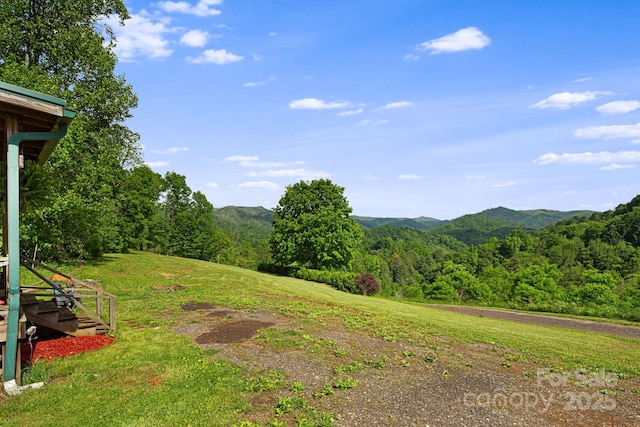 410 Fork Mountain Rd, Bakersville, NC 28705 - view of yard with a forest view and a mountain view