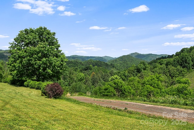 410 Fork Mountain Rd, Bakersville, NC 28705 - mountain view with a forest