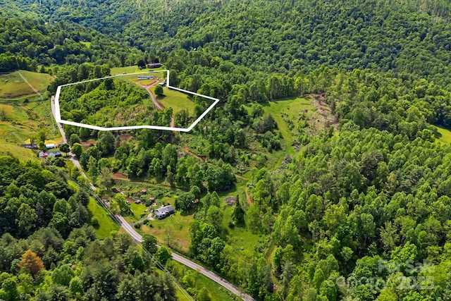 410 Fork Mountain Rd, Bakersville, NC 28705 - view of property location with a forest and property boundaries highlighted