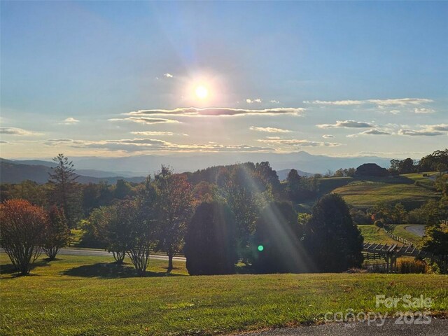 4575 Bearwallow Mountain Rd, Hendersonville, NC 28792 - photo 44