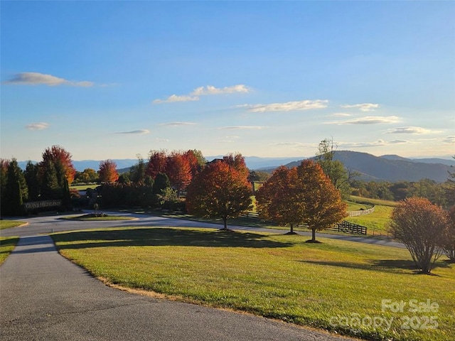 4575 Bearwallow Mountain Rd, Hendersonville, NC 28792 - photo 46