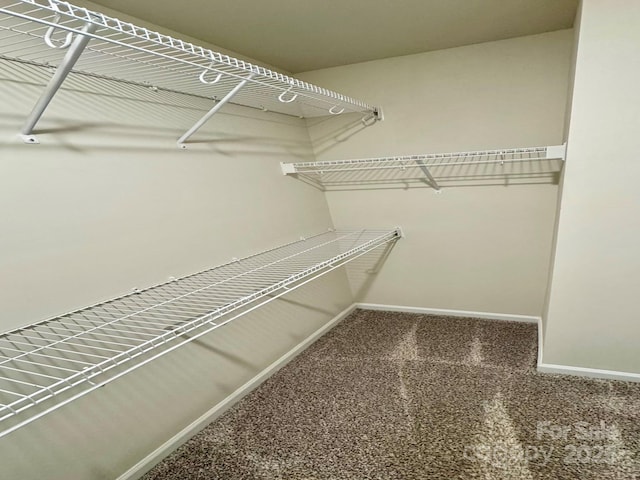 1510 Old Rivers Rd Unit 171, Concord, NC 28027 - spacious closet featuring carpet