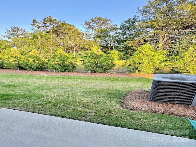 1510 Old Rivers Rd Unit 171, Concord, NC 28027 - view of green lawn