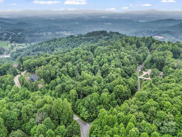168 Tarnhill Dr, Flat Rock, NC 28731 - photo 2