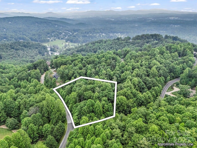 168 Tarnhill Dr, Flat Rock, NC 28731 - photo 3