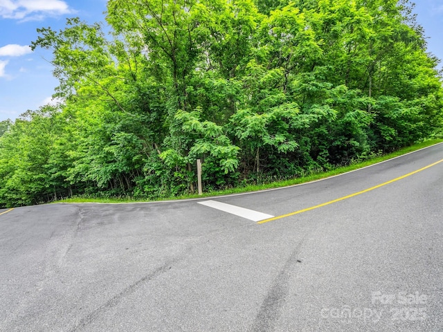 168 Tarnhill Dr, Flat Rock, NC 28731 - photo 4