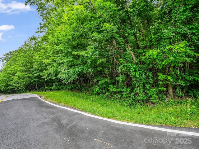 168 Tarnhill Dr, Flat Rock, NC 28731 - photo 5