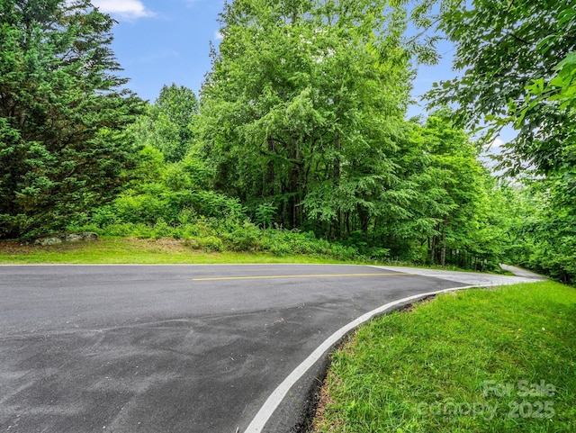 168 Tarnhill Dr, Flat Rock, NC 28731 - photo 6