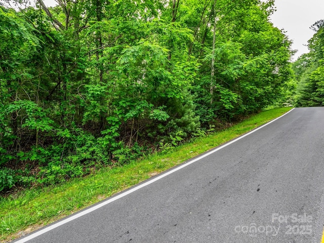 168 Tarnhill Dr, Flat Rock, NC 28731 - photo 7
