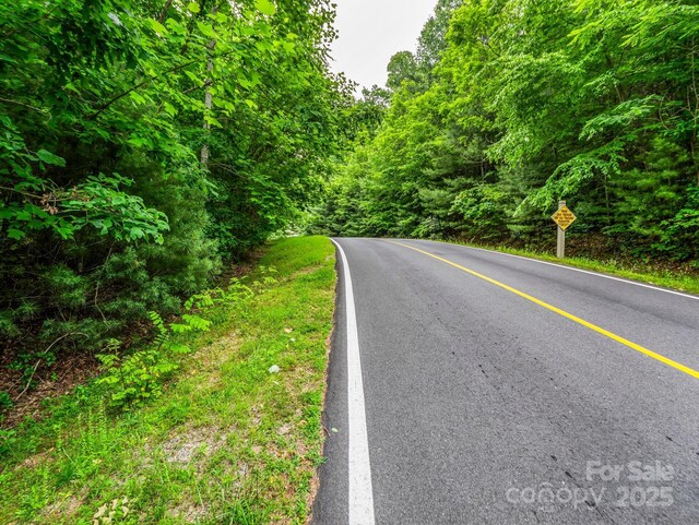 168 Tarnhill Dr, Flat Rock, NC 28731 - photo 8