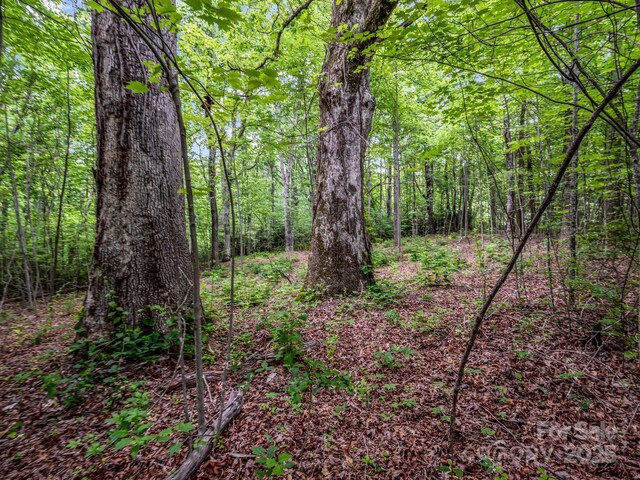 168 Tarnhill Dr, Flat Rock, NC 28731 - photo 10