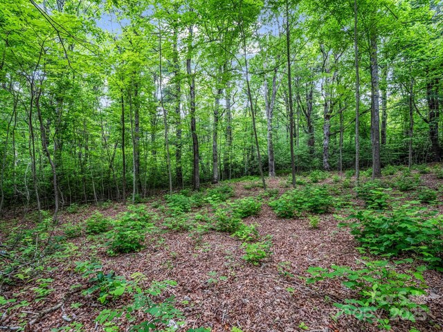 168 Tarnhill Dr, Flat Rock, NC 28731 - photo 11