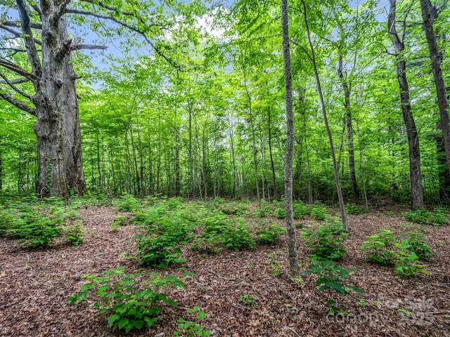 168 Tarnhill Dr, Flat Rock, NC 28731 - photo 12
