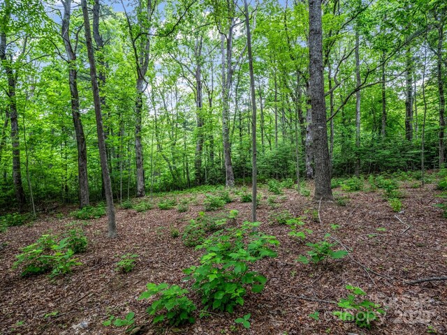 168 Tarnhill Dr, Flat Rock, NC 28731 - photo 13