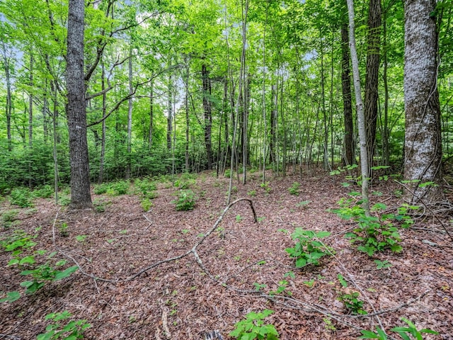 168 Tarnhill Dr, Flat Rock, NC 28731 - photo 14