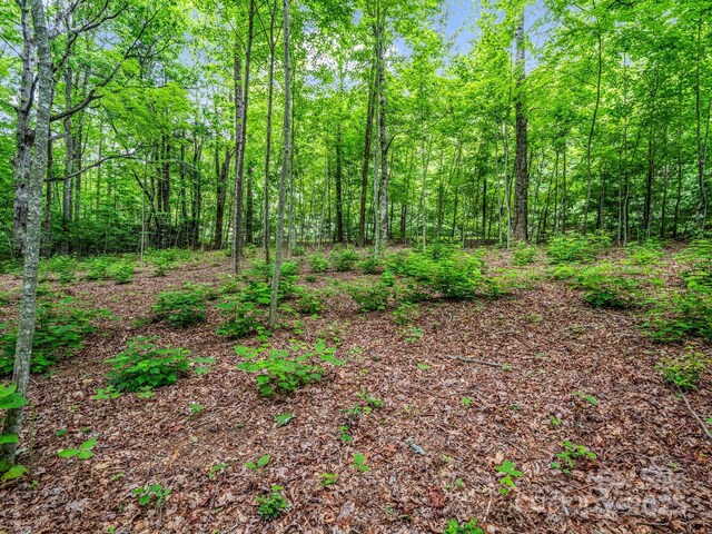 168 Tarnhill Dr, Flat Rock, NC 28731 - photo 15