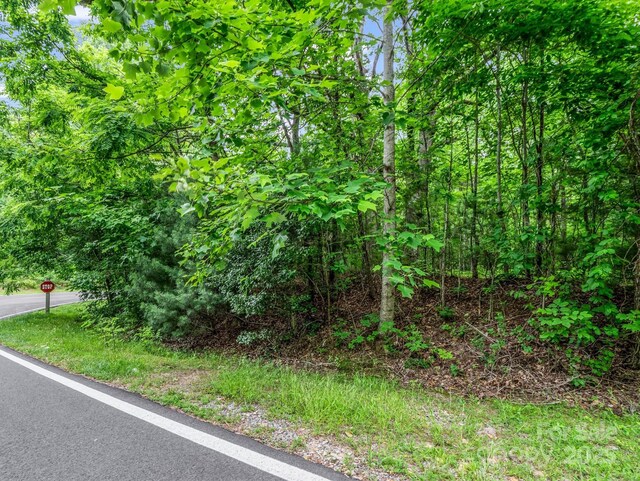 168 Tarnhill Dr, Flat Rock, NC 28731 - photo 16
