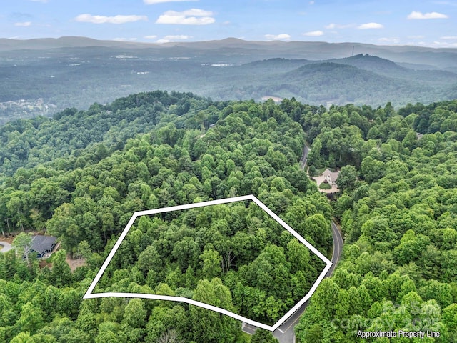 168 Tarnhill Dr, Flat Rock, NC 28731 - photo 18