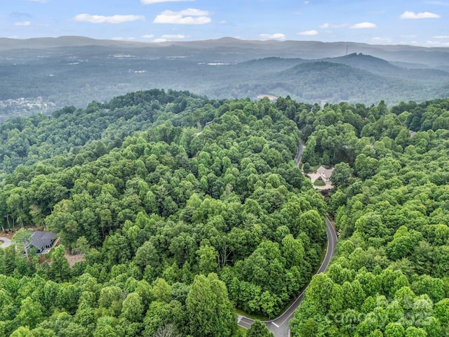 168 Tarnhill Dr, Flat Rock, NC 28731 - photo 19