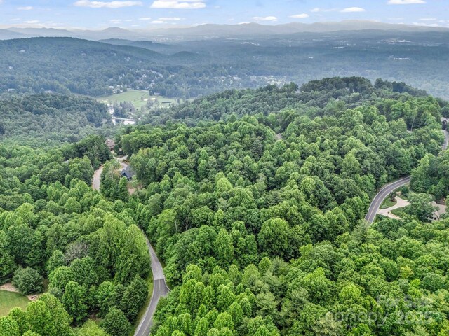 168 Tarnhill Dr, Flat Rock, NC 28731 - photo 20