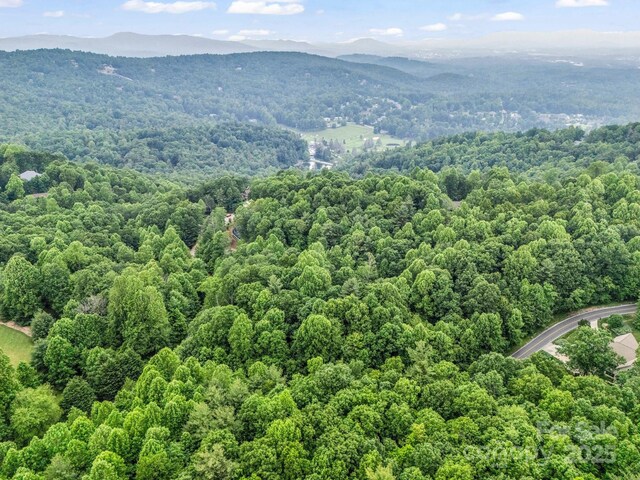 168 Tarnhill Dr, Flat Rock, NC 28731 - photo 21