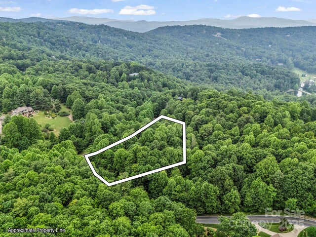 168 Tarnhill Dr, Flat Rock, NC 28731 - photo 22