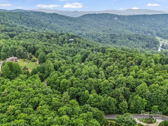 168 Tarnhill Dr, Flat Rock, NC 28731 - photo 23