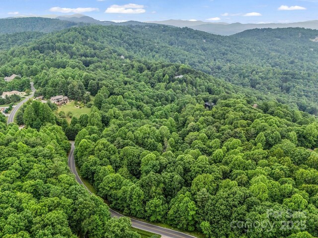 168 Tarnhill Dr, Flat Rock, NC 28731 - photo 24