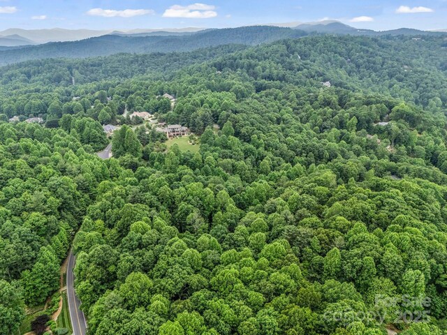 168 Tarnhill Dr, Flat Rock, NC 28731 - photo 25