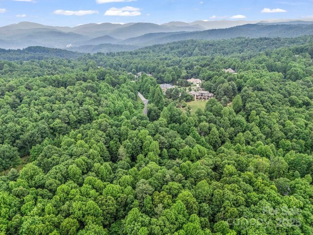 168 Tarnhill Dr, Flat Rock, NC 28731 - photo 26
