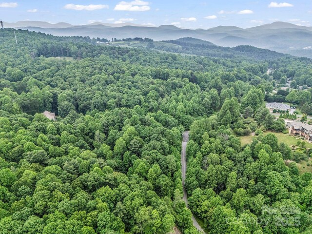 168 Tarnhill Dr, Flat Rock, NC 28731 - photo 27