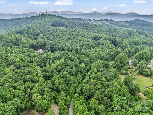 168 Tarnhill Dr, Flat Rock, NC 28731 - photo 28