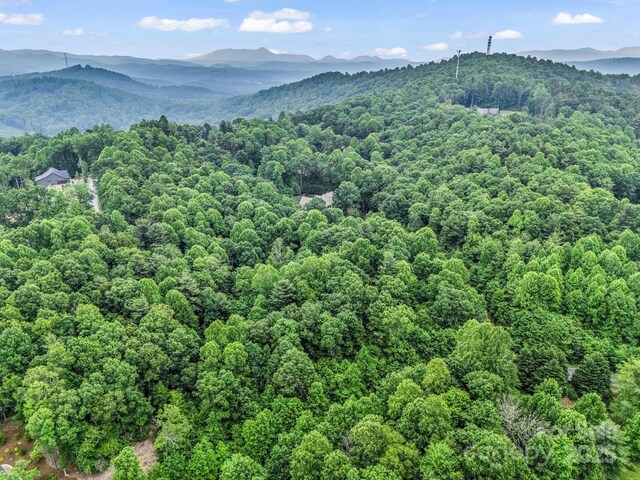 168 Tarnhill Dr, Flat Rock, NC 28731 - photo 29