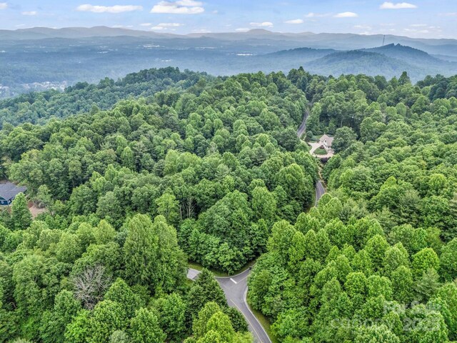 168 Tarnhill Dr, Flat Rock, NC 28731 - photo 30