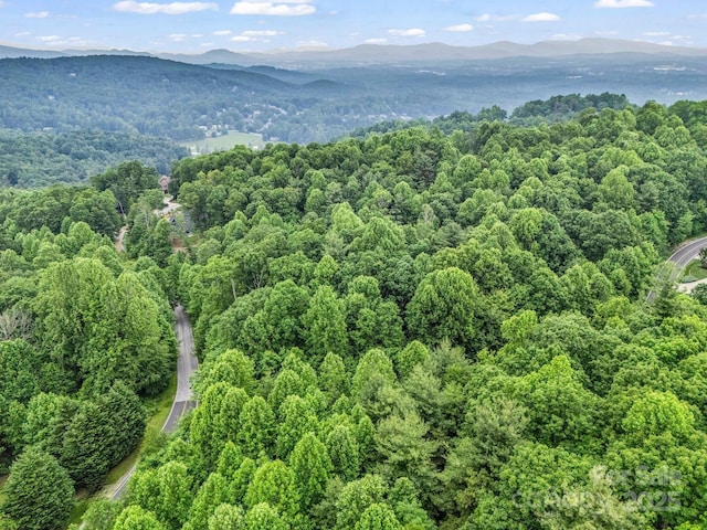 168 Tarnhill Dr, Flat Rock, NC 28731 - photo 31