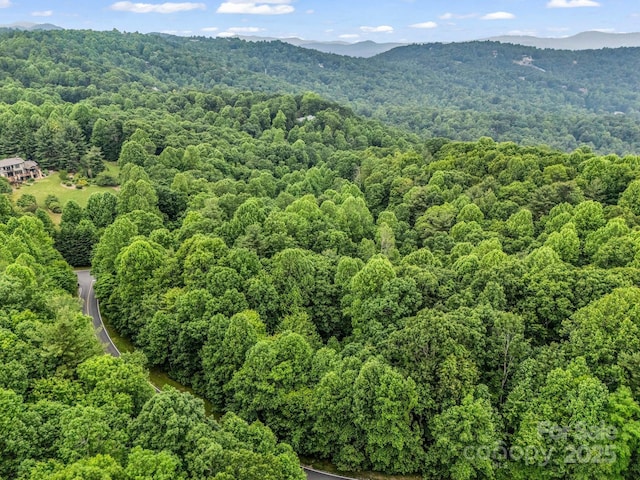168 Tarnhill Dr, Flat Rock, NC 28731 - photo 32