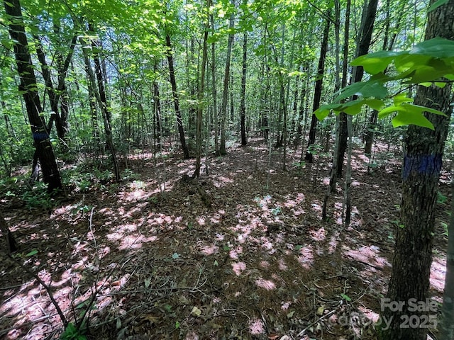 V/L Bambi Dr Unit 17, Marion, NC 28752