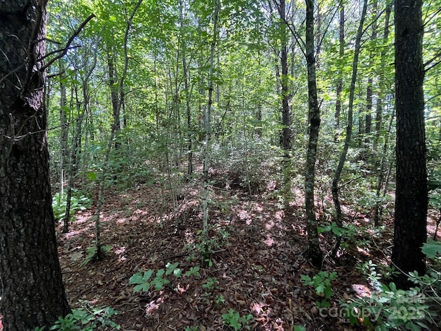 V/L Bambi Dr Unit 17, Marion, NC 28752