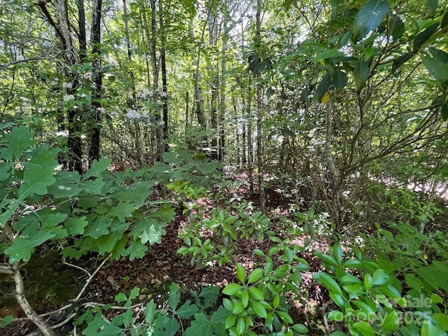 V/L Bambi Dr Unit 17, Marion, NC 28752