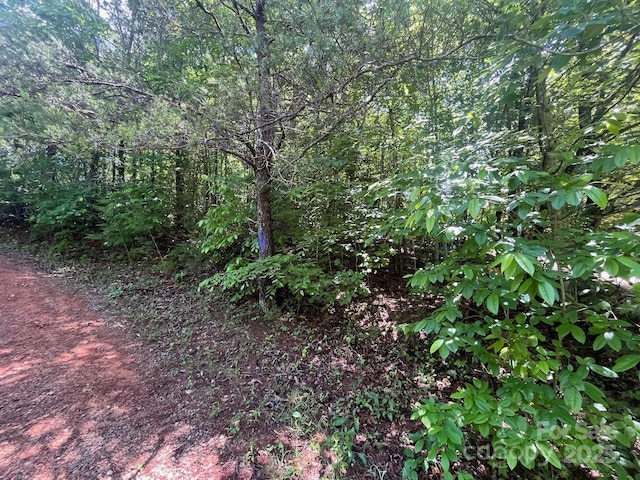 V/L Bambi Dr Unit 17, Marion, NC 28752