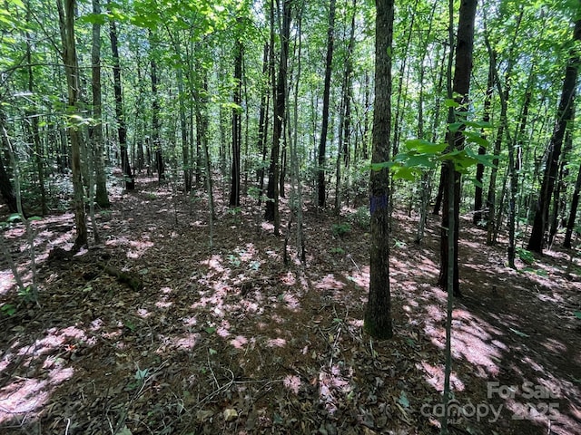V/L Bambi Dr Unit 18, Marion, NC 28752