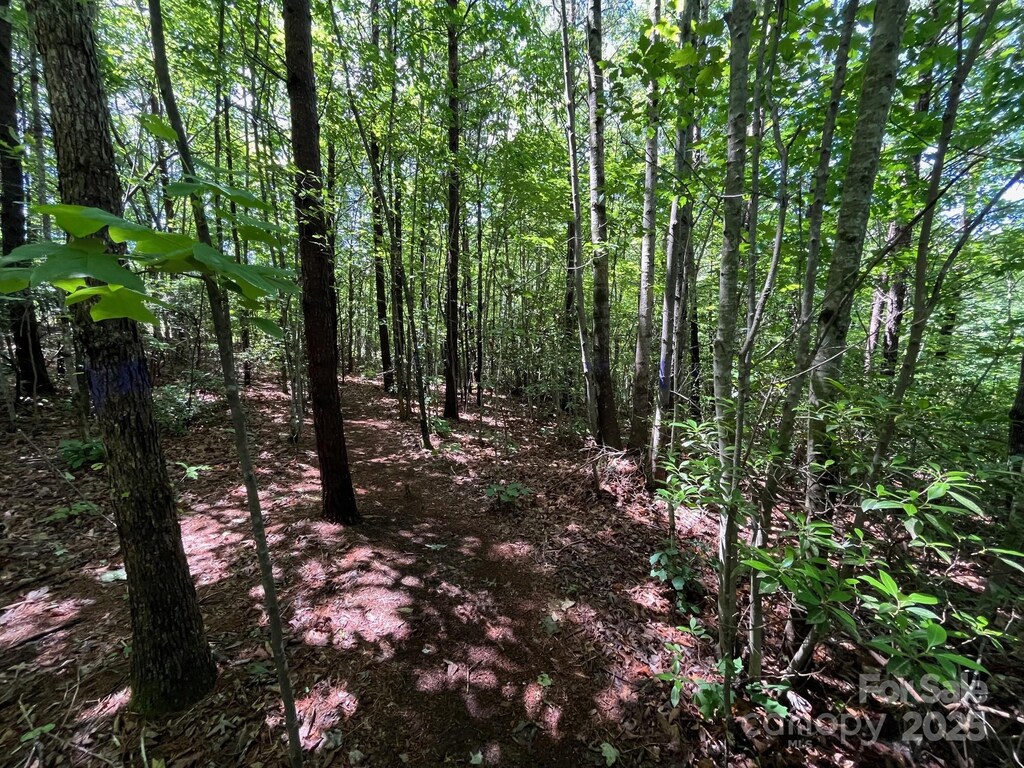 V/L Bambi Dr Unit 18, Marion, NC 28752