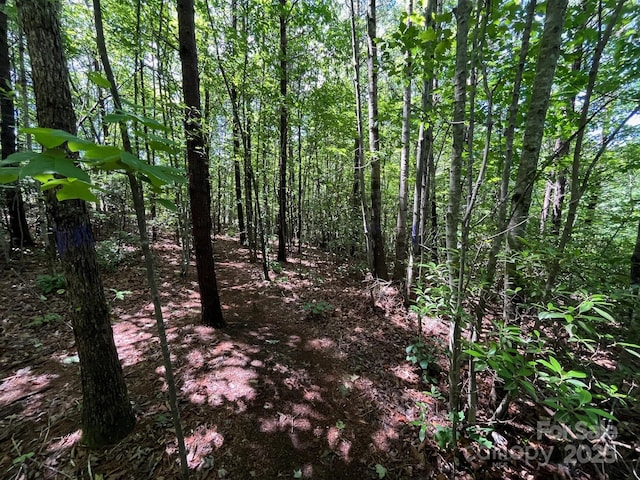 V/L Bambi Dr Unit 18, Marion, NC 28752