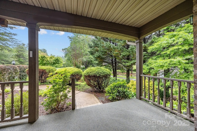 206 Pine Knot Trl, Hendersonville, NC 28739 - view of patio