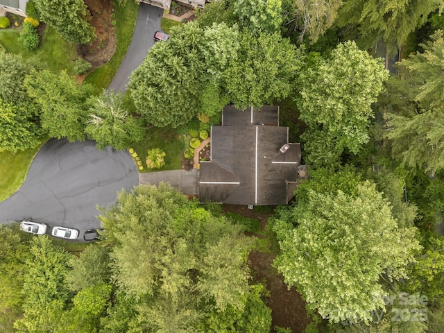 206 Pine Knot Trl, Hendersonville, NC 28739 - bird's eye view
