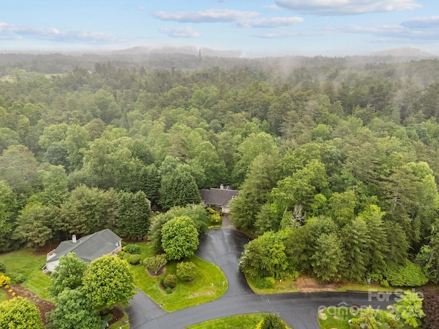 206 Pine Knot Trl, Hendersonville, NC 28739 - aerial view of a forest