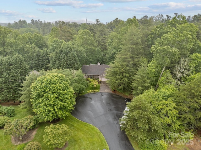 206 Pine Knot Trl, Hendersonville, NC 28739 - drone / aerial view of a heavily wooded area